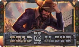 PowBet offre il gioco online Dead or Alive II