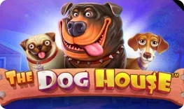 PowBet offre il gioco online The Dog House